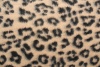 Джерси пальтовое Gucci  с ворсом чёрные пятна на бежевом фоне фото в интернет-магазине Ауратессу